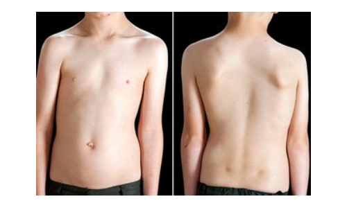 Screenshot%202026-01-24%20134936 Screenshot%202026-01-24%20134936