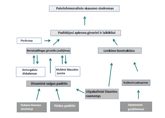 4ae6b4d6-0d95-41db-b4c8-754930a63067%202 4ae6b4d6-0d95-41db-b4c8-754930a63067%202