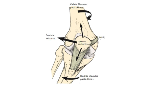 Screenshot%202026-02-03%20131717 Screenshot%202026-02-03%20131717