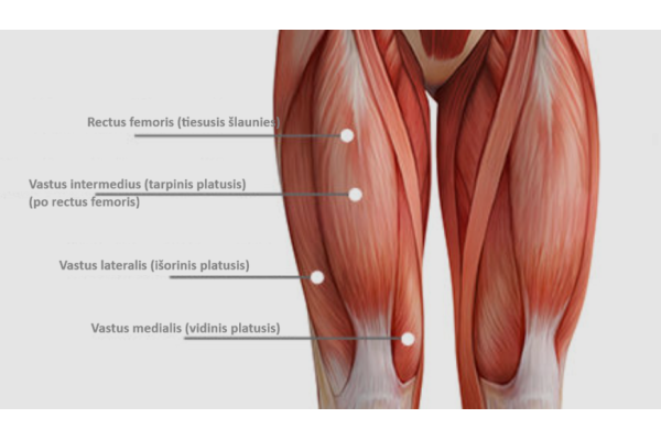 Screenshot%202026-02-03%20133458 Screenshot%202026-02-03%20133458